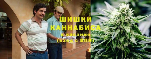 ГАЛЛЮЦИНОГЕННЫЕ ГРИБЫ Абаза
