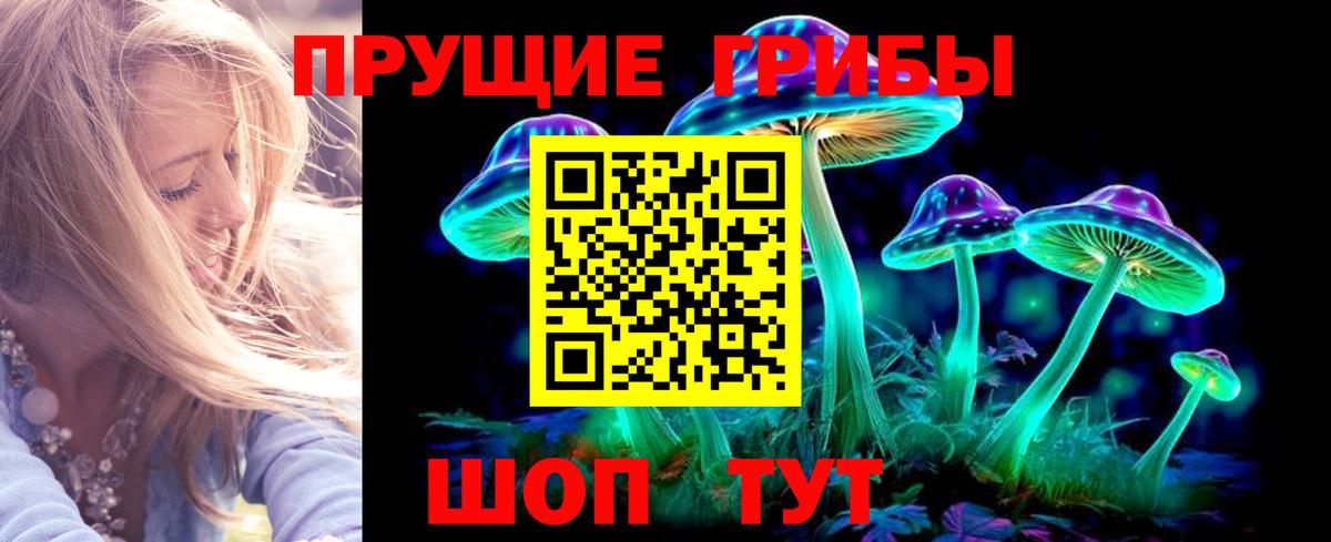 Псилоцибиновые грибы мухоморы  Псилоцибиновые грибы Magic Shrooms  Вход с VPN  Каменка 
