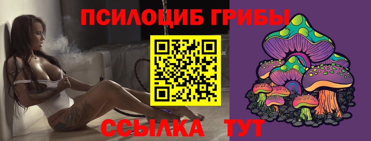 Псилоцибиновые грибы Magic Shrooms Каменка